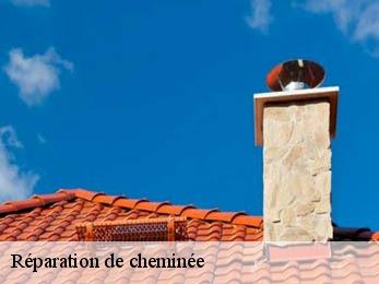 Réparation de cheminée