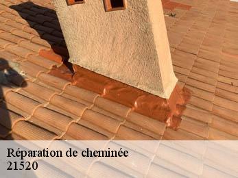 Réparation de cheminée  21520