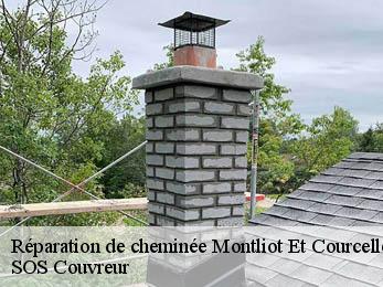 Réparation de cheminée