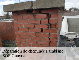 Réparation de cheminée  painblanc-21360 SOS Couvreur