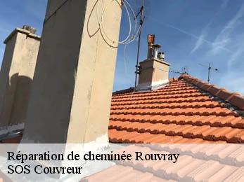 Réparation de cheminée 21530