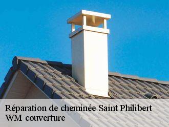Réparation de cheminée  saint-philibert-21220 WM couverture
