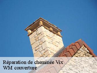 Réparation de cheminée  21400